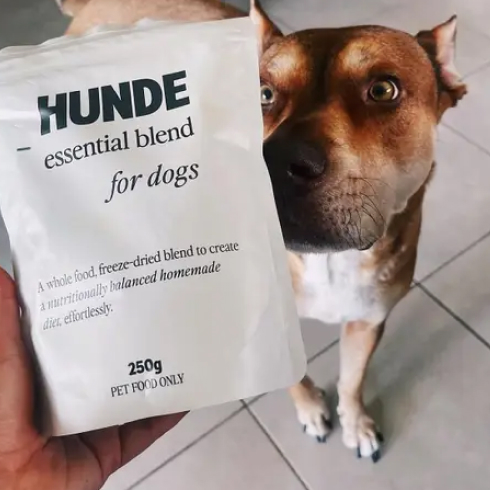 Dogs