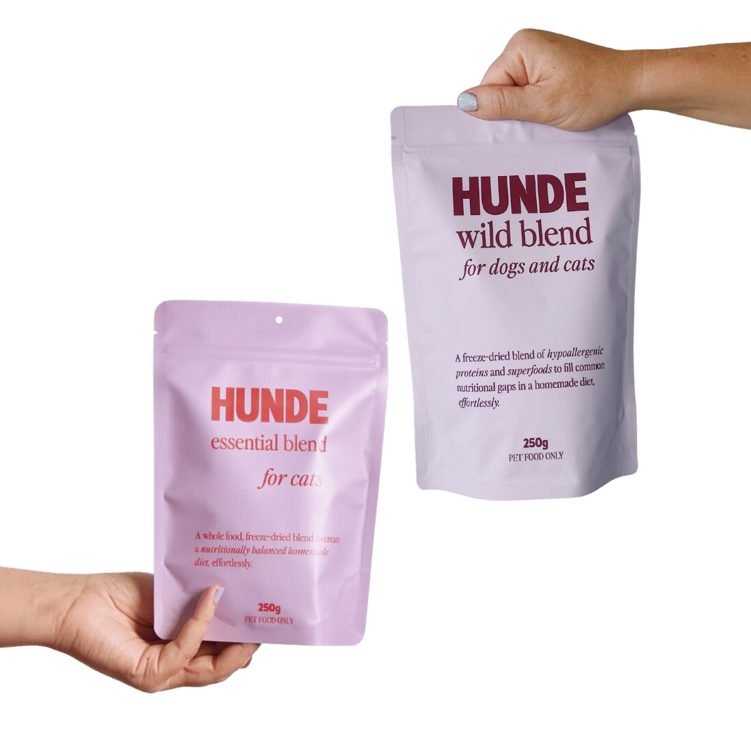 Cat Blend Bundle