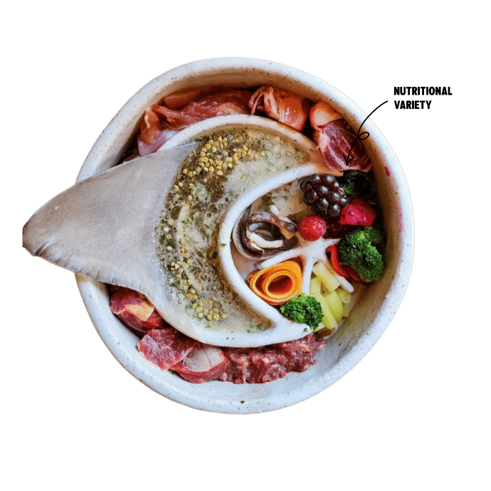 Meal Suggestions