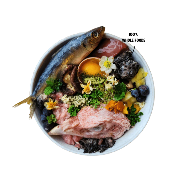 Meal Suggestions