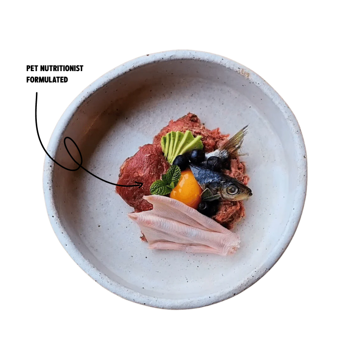 Meal Suggestions