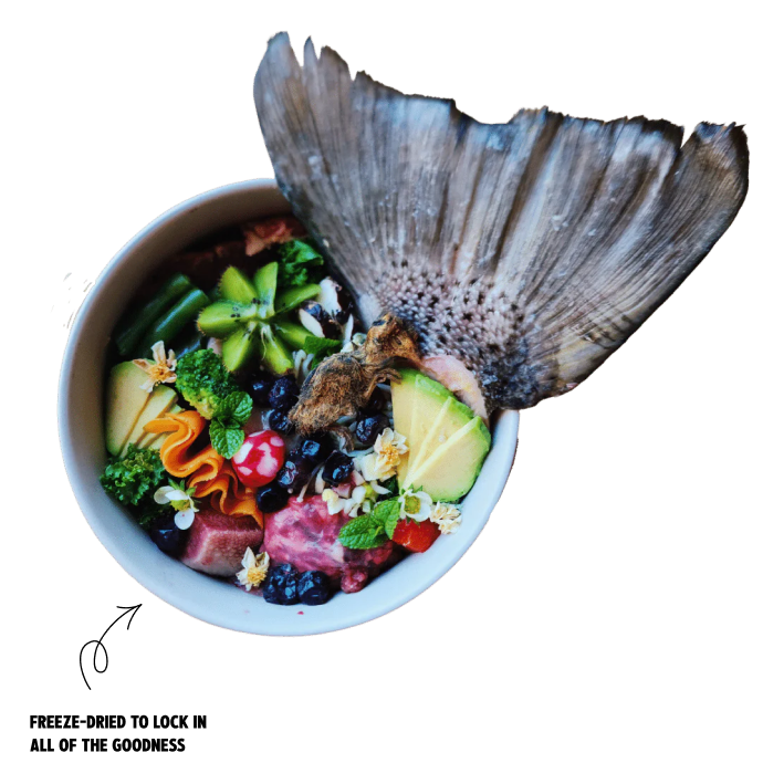 Meal Suggestions
