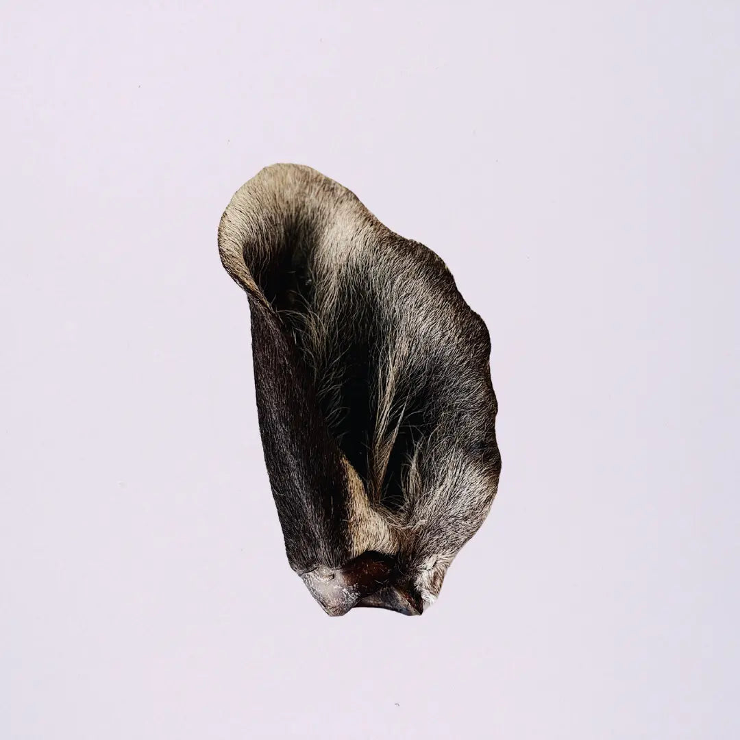 Furry Venison Ears