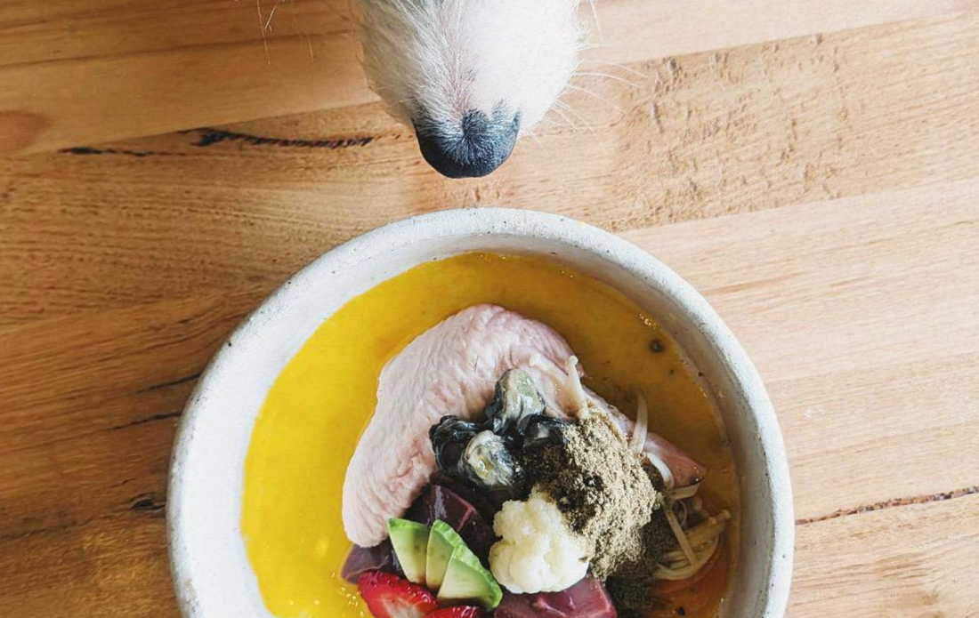 Easy, balanced raw recipe for dogs