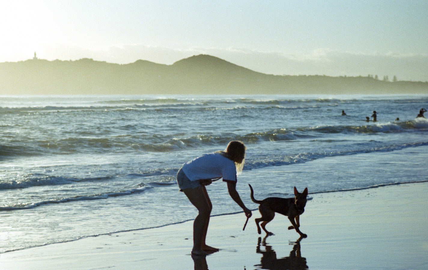 The Science of Fresh Pet Diets