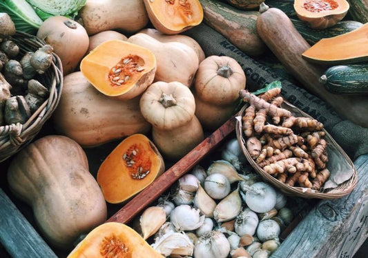 5 Foods to Boost Your Dog's Health
