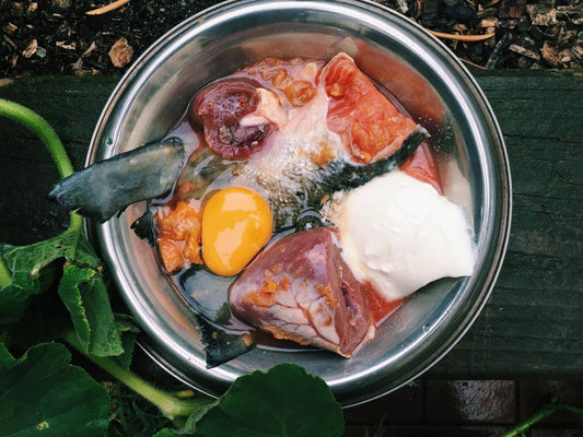 A-Z of Natural Foods for Dogs