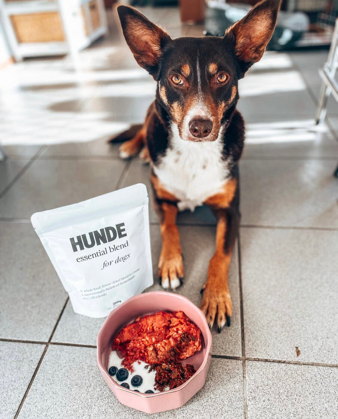 Essential Blend for Dogs