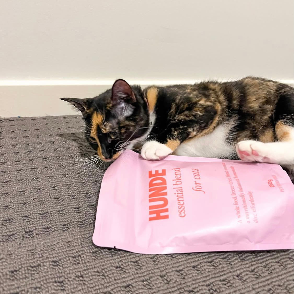 A calico cat lies on a textured gray carpet, biting a pink pouch labeled 'HUNDE essential blend for cats'