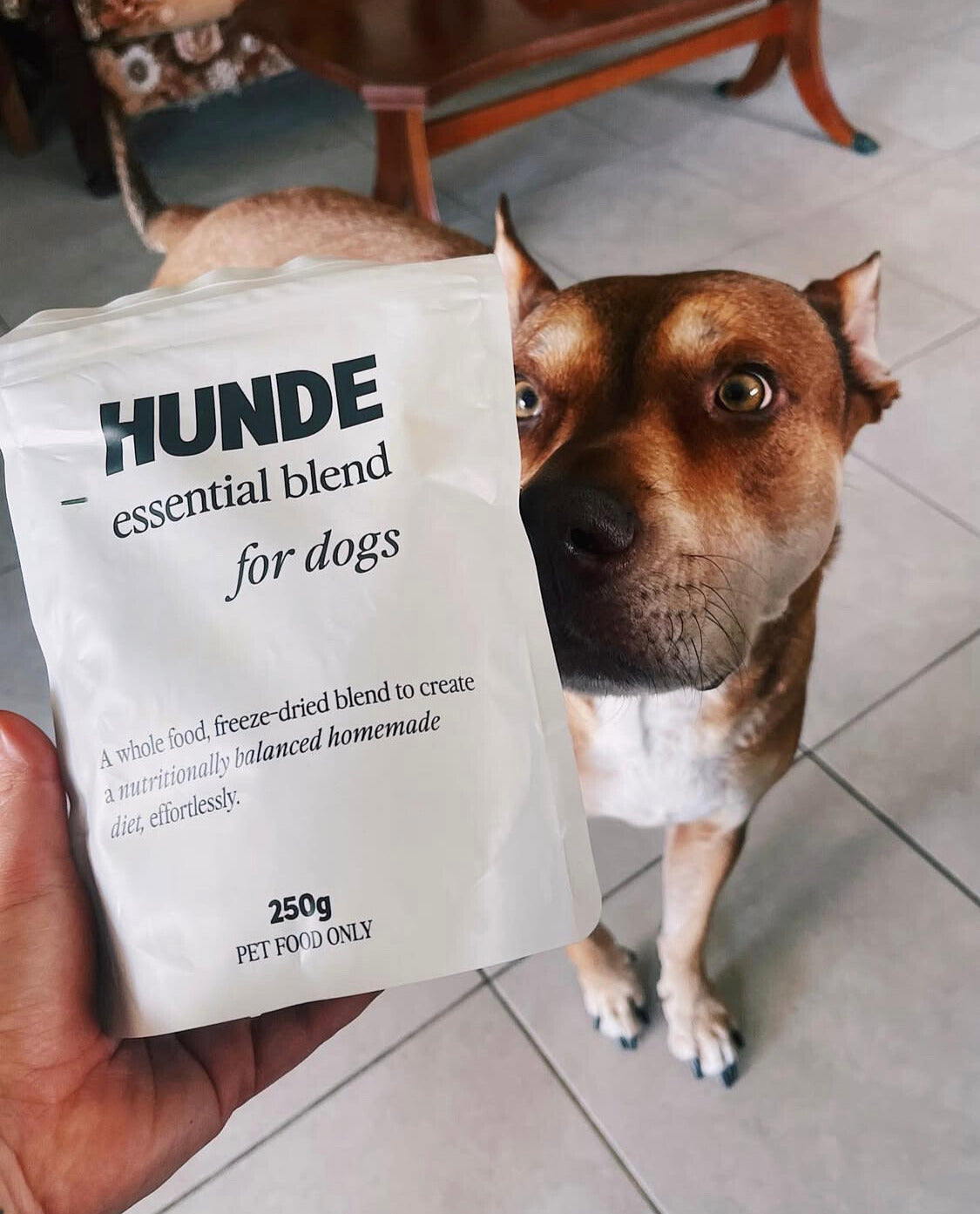 A hand holds a white pouch of HUNDE essential blend pet food in front of a brown and white dog in a tiled indoor setting.