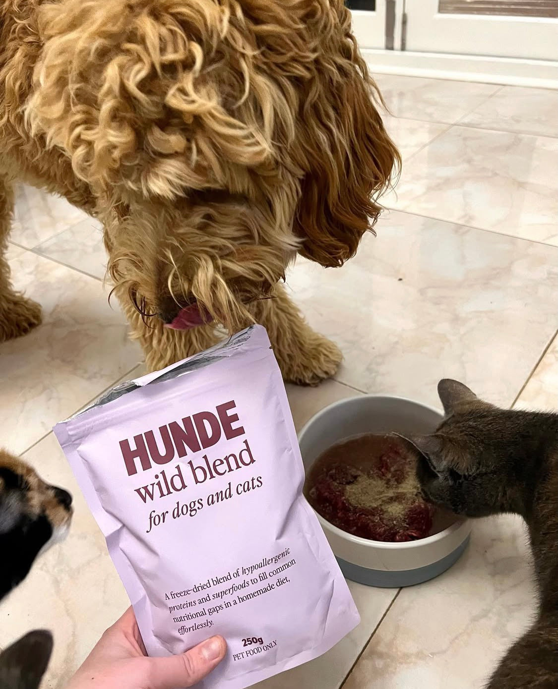 Wild Blend for Dogs and Cats