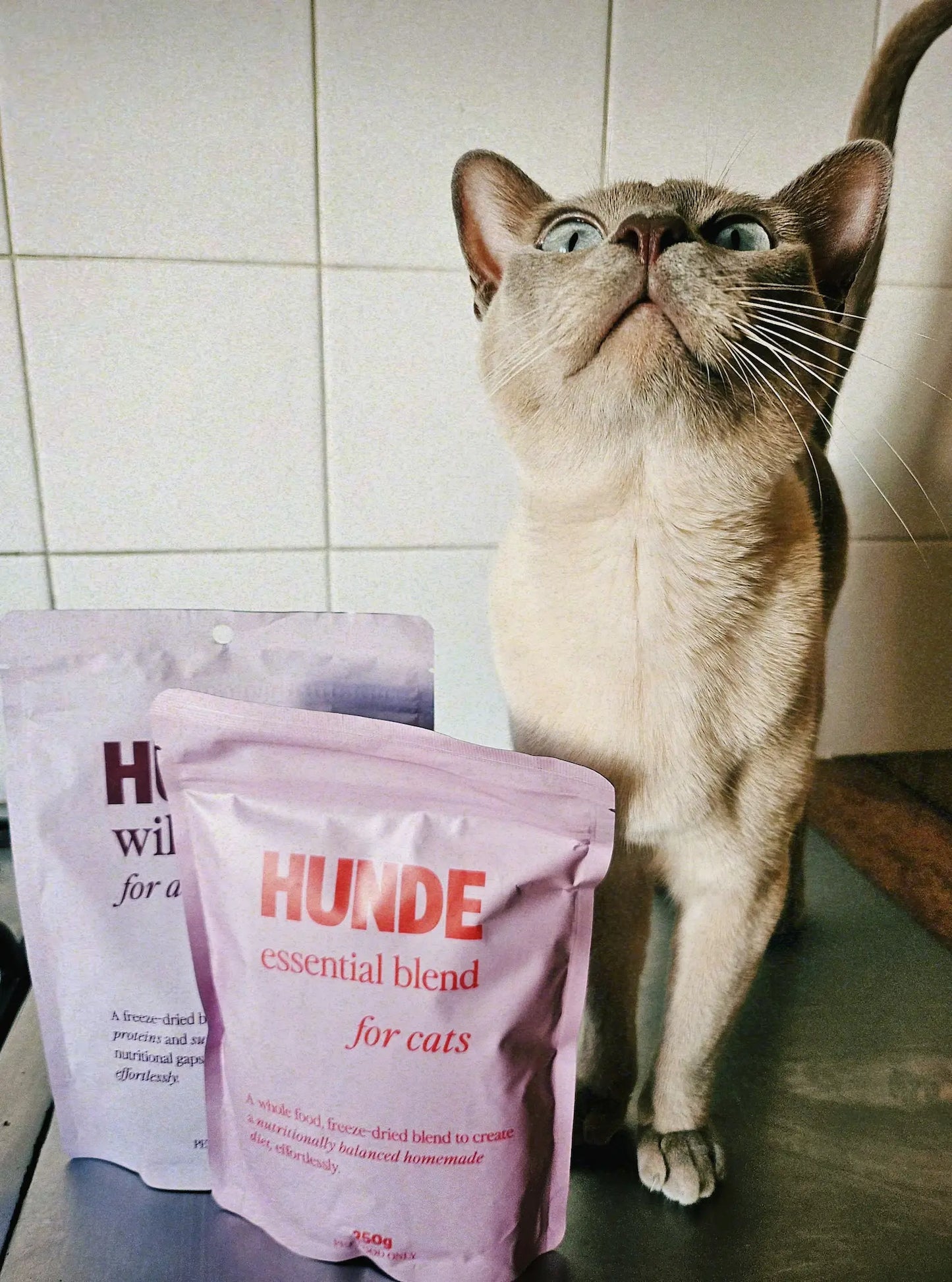 Essential Blend for Cats