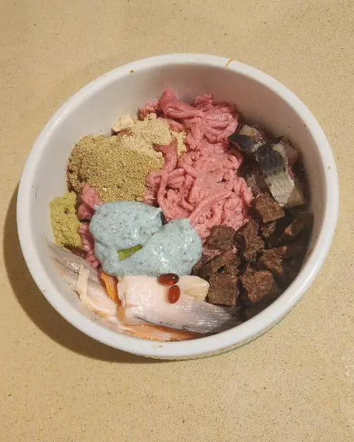 A white bowl filled with assorted wet and dry dog food ingredients, including pink meat, brown kibble, a light blue paste, and dry powders, set on a beige surface.