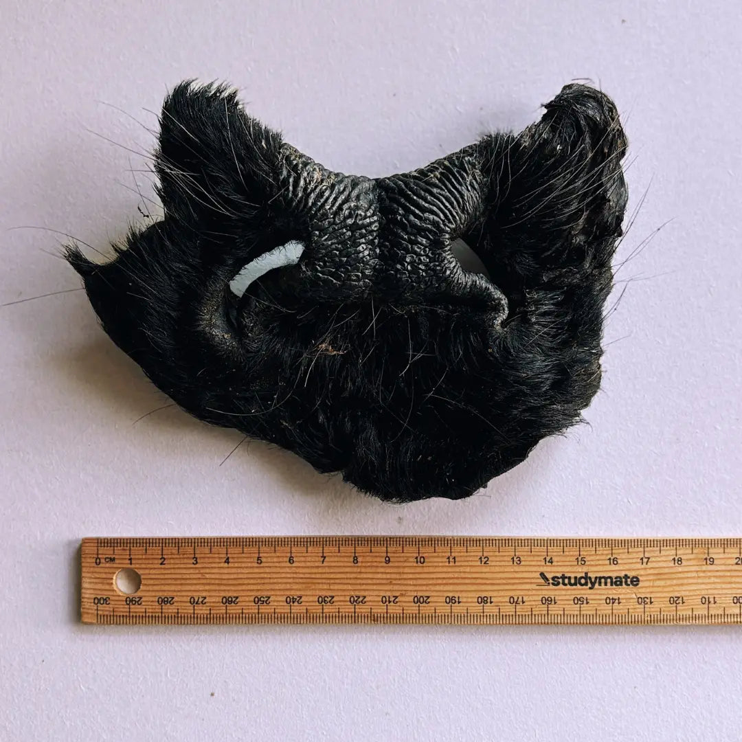 (Halloween 2026 Free Gift) Furry Cow Face