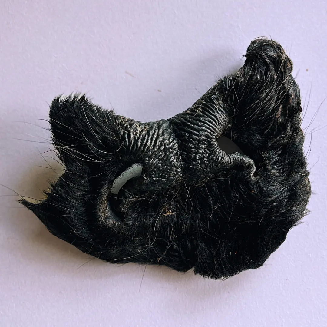 (Halloween 2026 Free Gift) Furry Cow Face