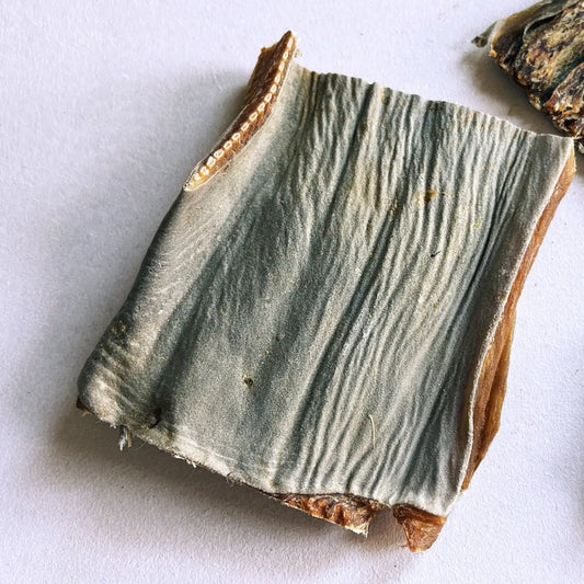 Shark Skin Chews