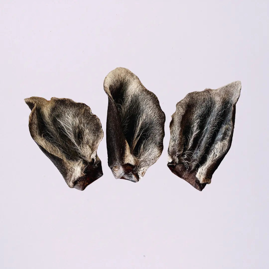 Furry Venison Ears