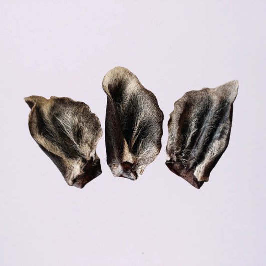Furry Venison Ears