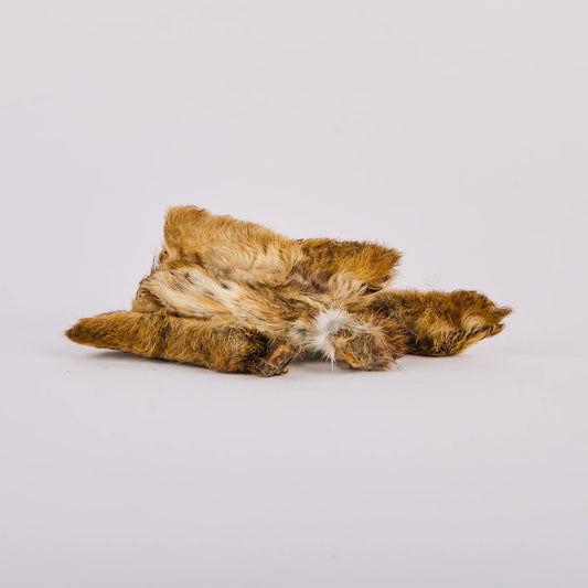 Wild Rabbit Legs