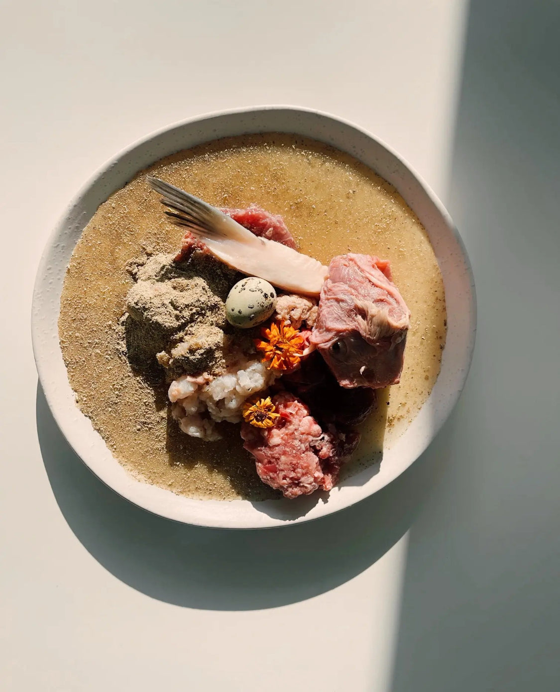 A top-down view of a white ceramic bowl containing a raw pet food mixture with meat pieces, bone, grains, a small egg, and dried flowers, set against a minimalist off-white background with strong natural shadows.