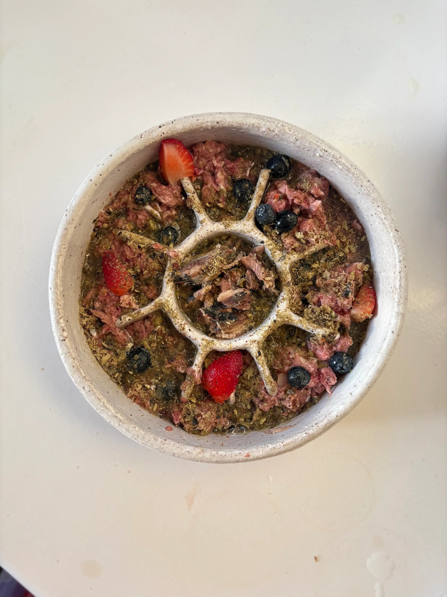 Wild Blend for Dogs and Cats