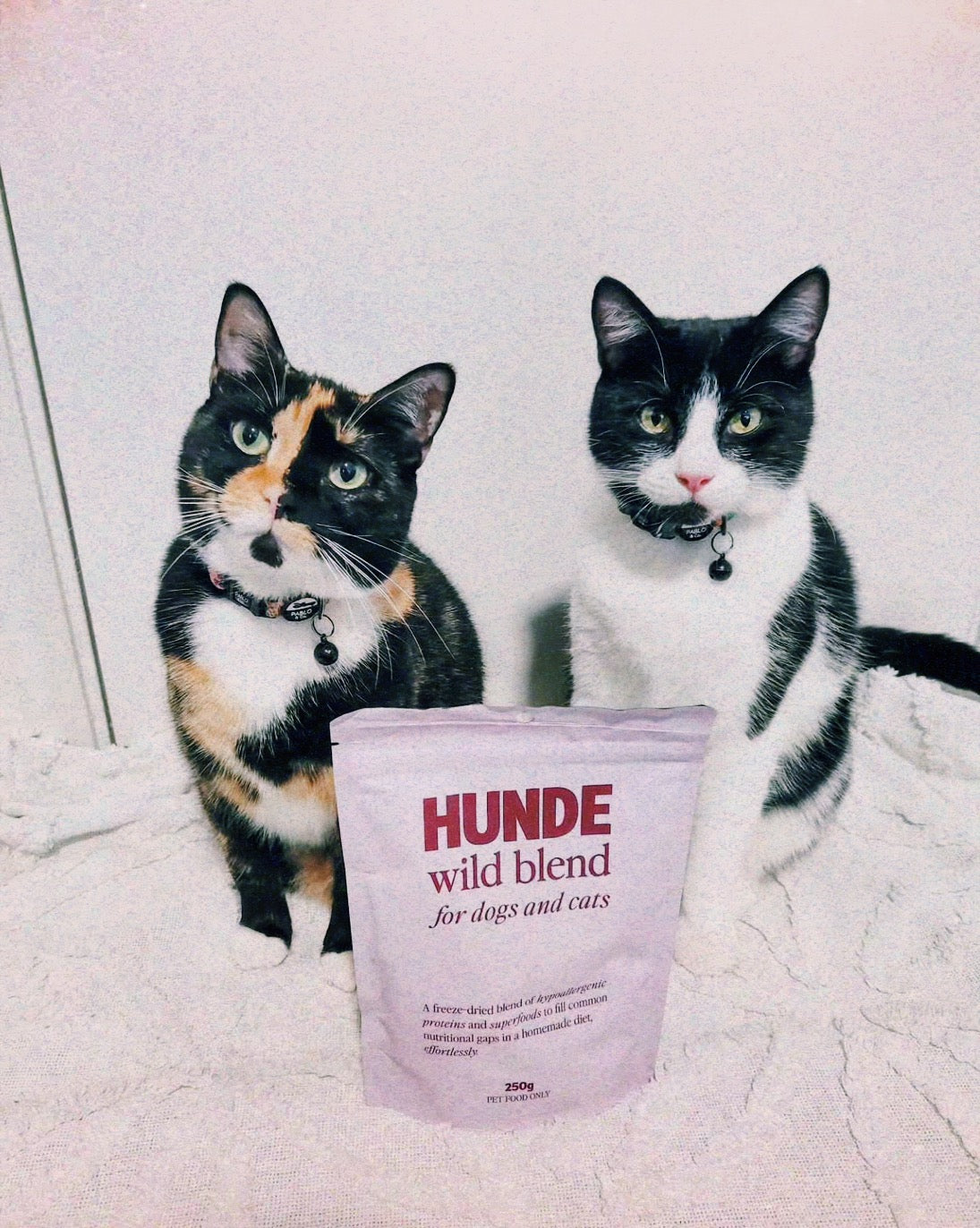 Wild Blend for Dogs and Cats