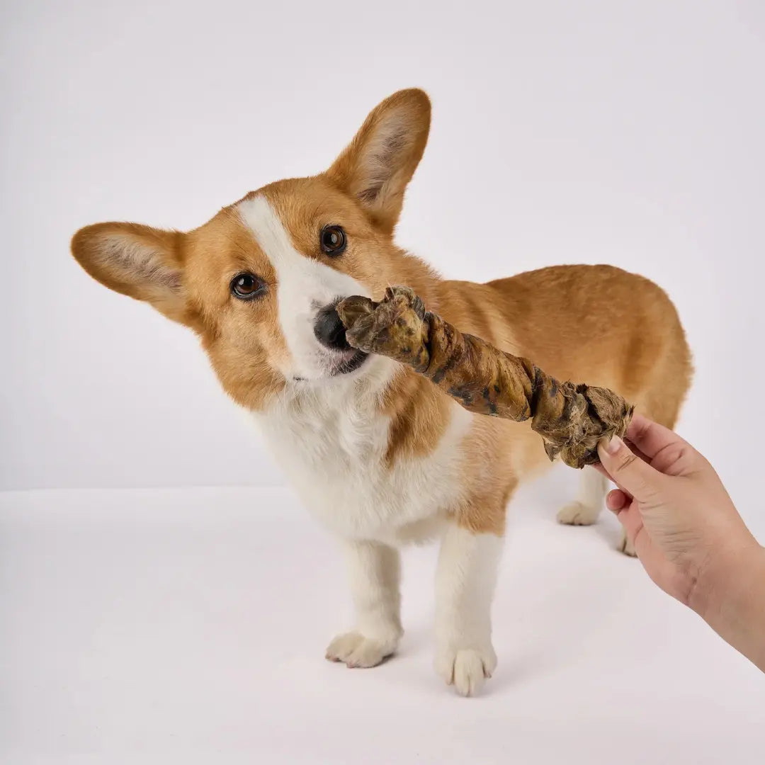 Wild Rabbit Hide Twists