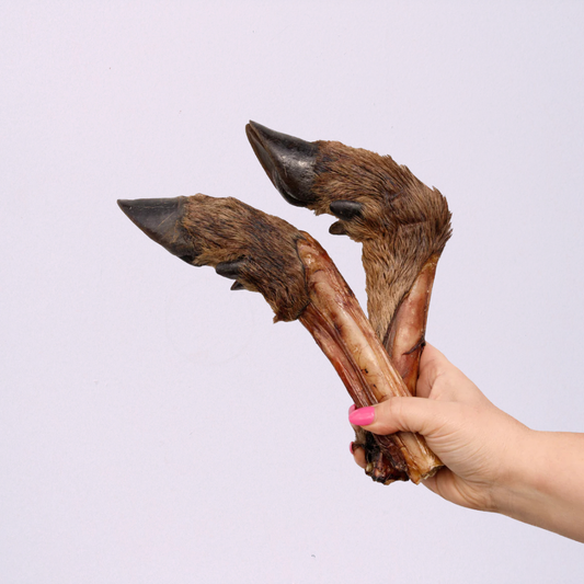 Furry Venison Legs